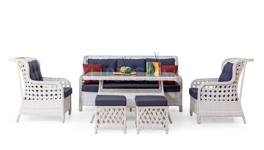 Ladissa Gray Garden Sofa Set - 2